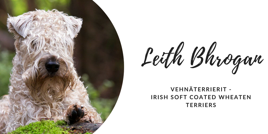 Kennel Leith Bhrogan